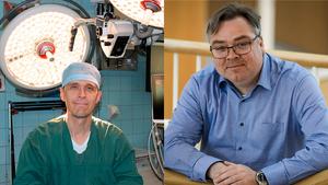 The researchers