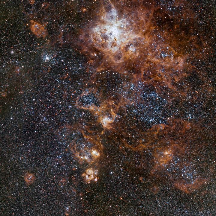 The Rich Region around the Tarantula Nebula in the Large Magellanic Cloud