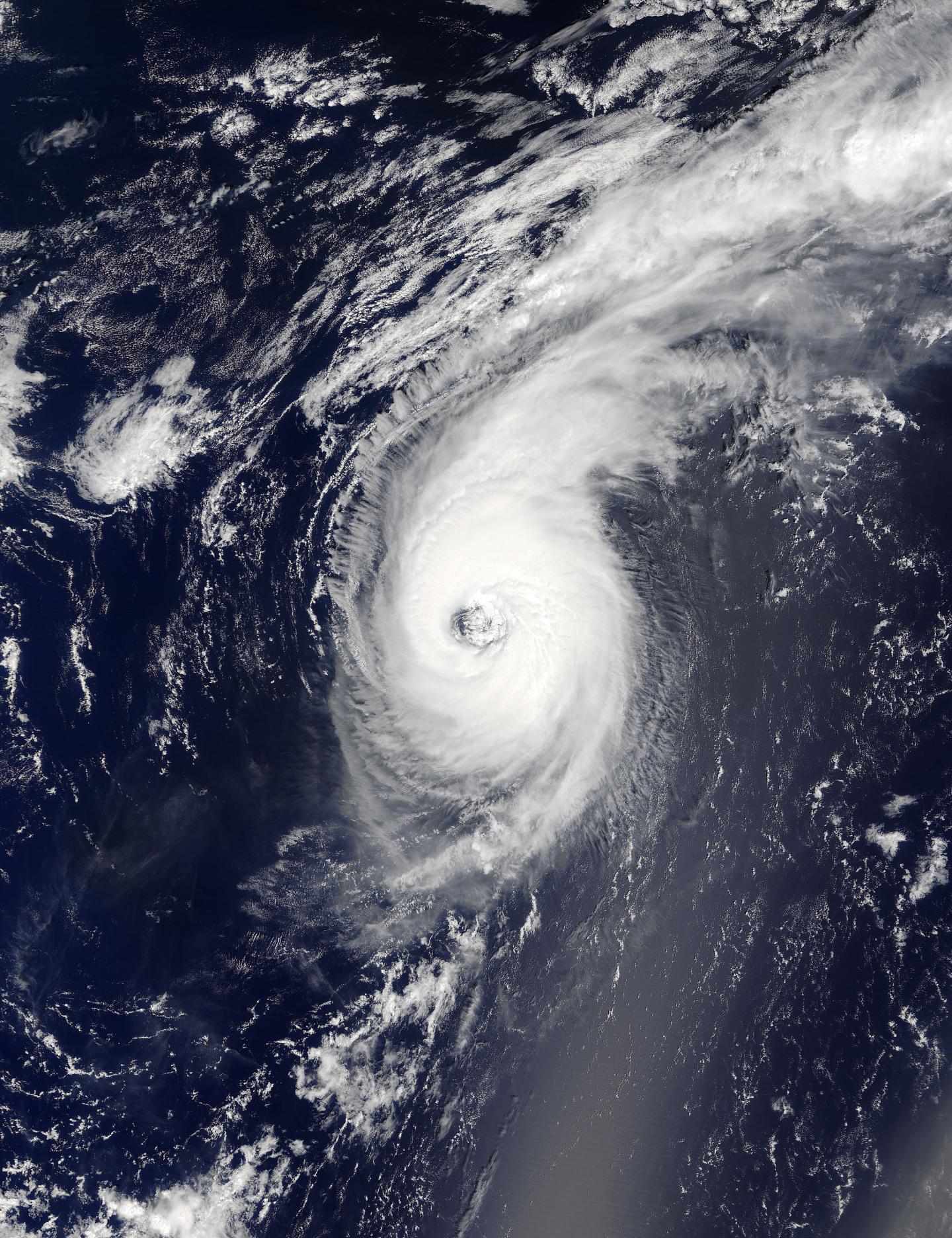 Terra Image of Gaston