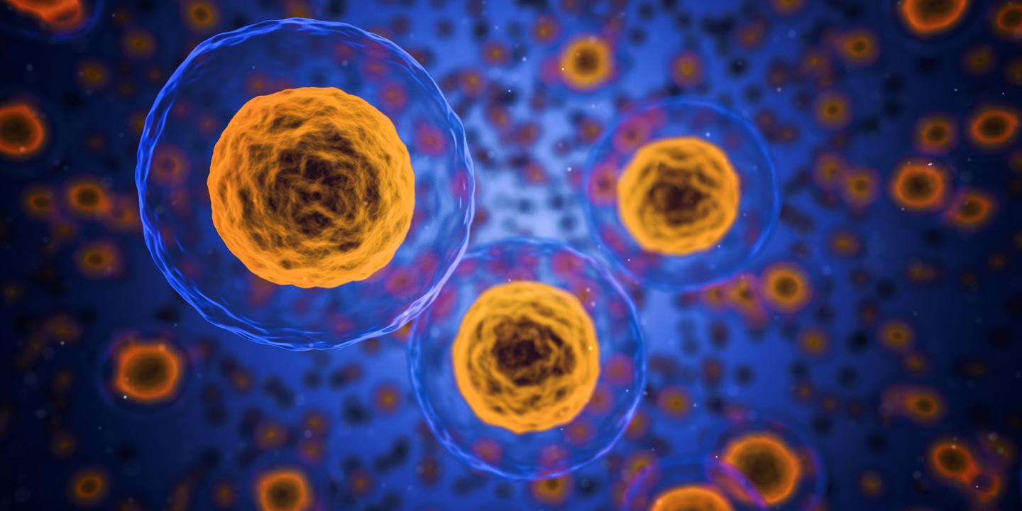 Stem Cell Identity Unmasked by Single Cell Sequencing Technology