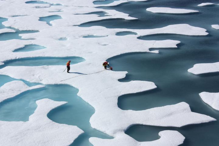 Melt Pools