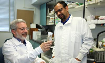 Fruit Flies Give Insight into Human Health