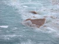 Polar Ice-Floe