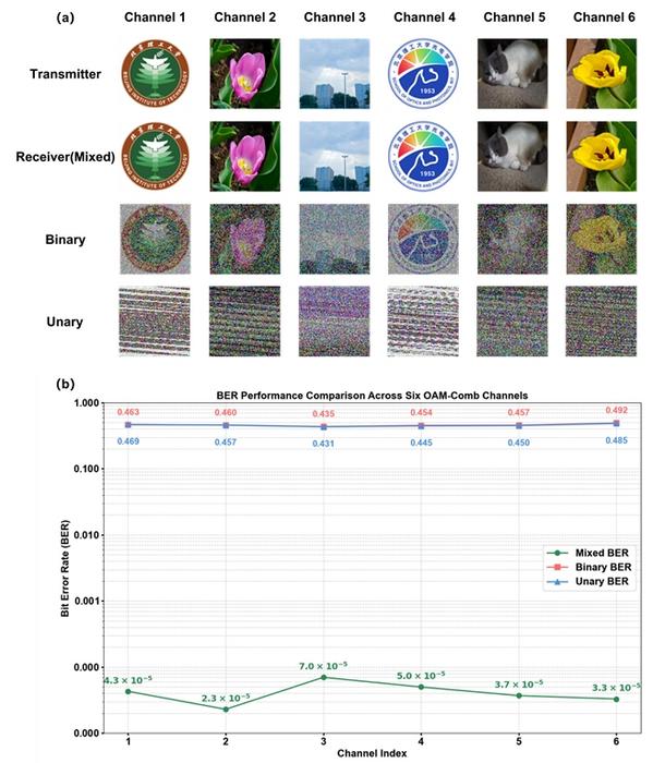 Figure 3 | Multicasting results and BER performance analysis