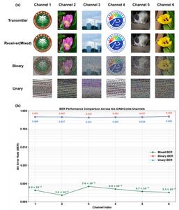 Figure 3 | Multicasting results and BER performance analysis