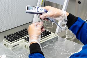 preparing samples for foram study - credit Kaitlin Prince, UMass Boston