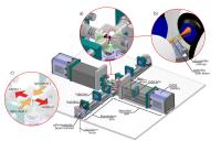New Microscope Films Life in the Fast Lane