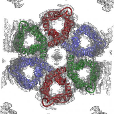 6-Molecule Ring of Urea Channels