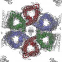 6-Molecule Ring of Urea Channels