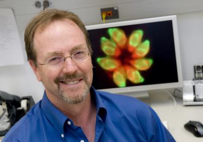 Michael White, Ph.D., University of South Florida