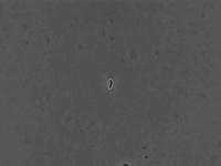 Innovative Imaging