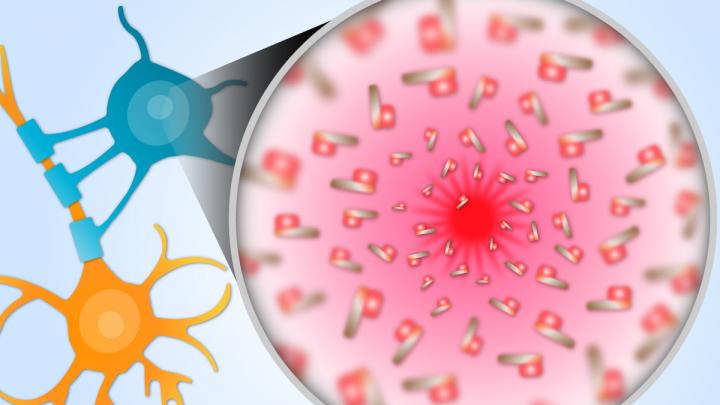 Revealing the Intra-Cellular Mechanism Underlying A