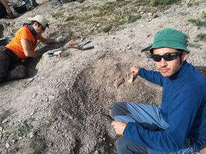 Exposing foot claw from Camarillasaurus cirugedae
