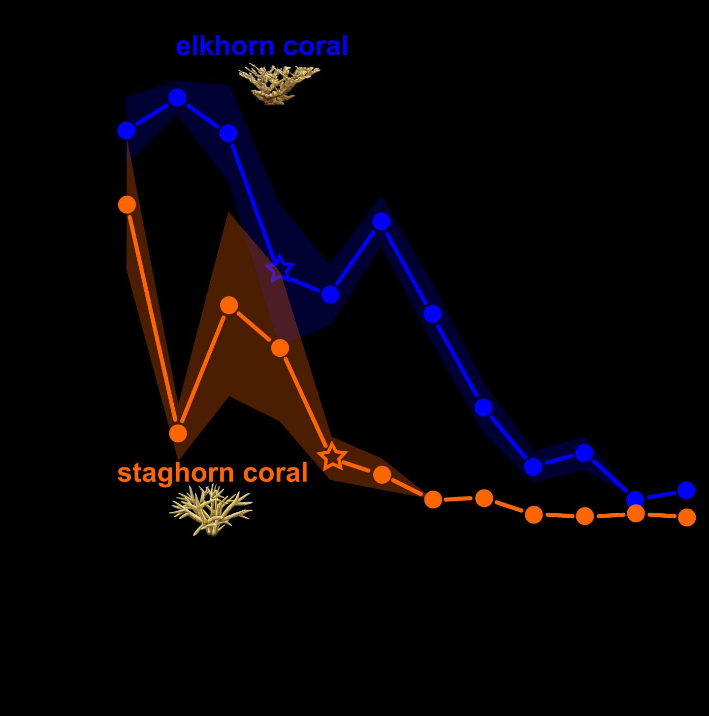 Coral decline
