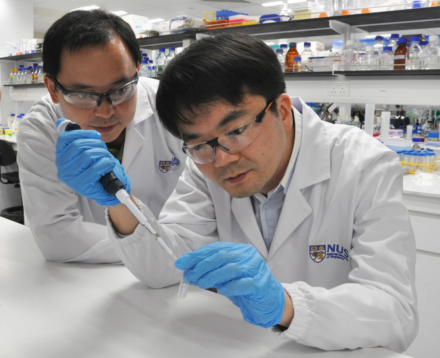 Dr. Lin Qingsong and Dr. Wang Jigang, National University of Singapore