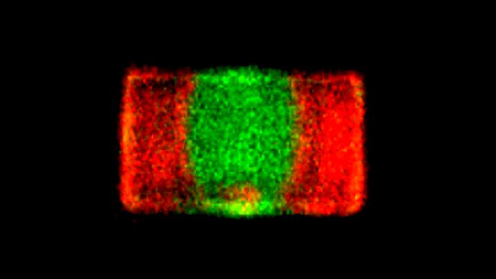 Perovskite Crystal