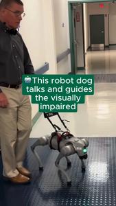 Robot dog video