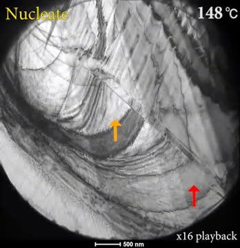 Capturing Shape Memory Alloy Transitions in Real Time