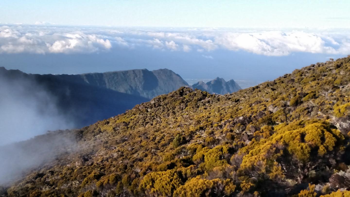 Cirque de Cilaos