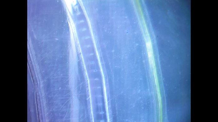 Curved Shadow Waveguide