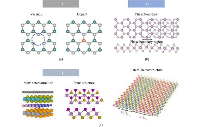Defects in 2D materials, using 2D TMDCs as examples (defects being categorized by their dimensionality).