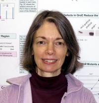 Patricia Foster, Indiana University