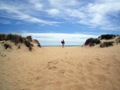 Coastal Dunes