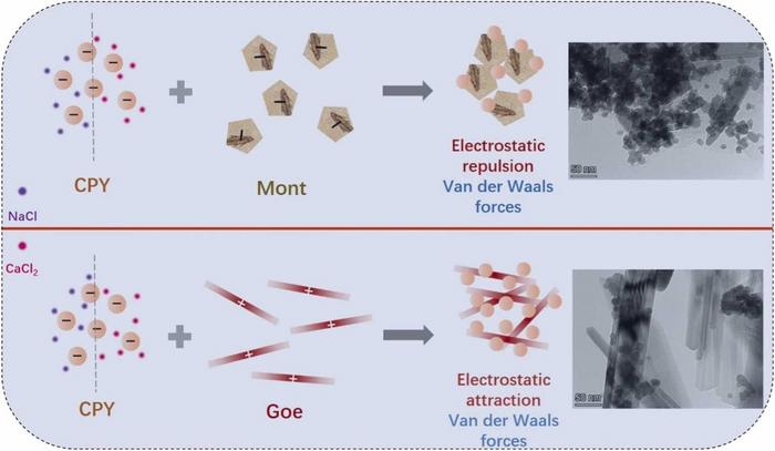 Schematic overview showing contrasting aggregation mechanisms of lead‑bearing chloropyromorphite colloids with montmorillonite and goethite, paired with transmission electron microscope images of particle aggregates.