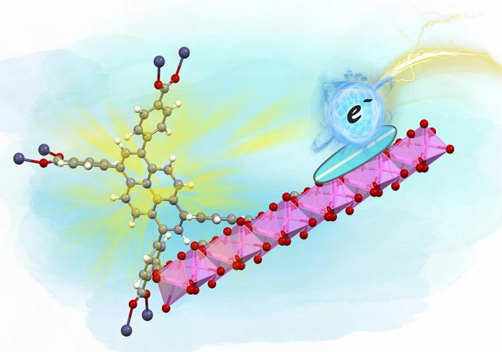 MOF Scaffold