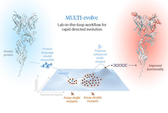 MULTI-evolve Overview