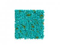 Structure of Algal Pillars and Iridocytes