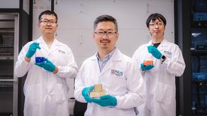 NUS researchers achieve record-setting perovskite tandem solar cell-1