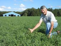 Paddock in Forage Field