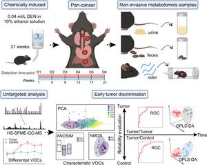 Sniffing Out Cancer: VOCs Show Promise for Early Multi-Cancer Detection
