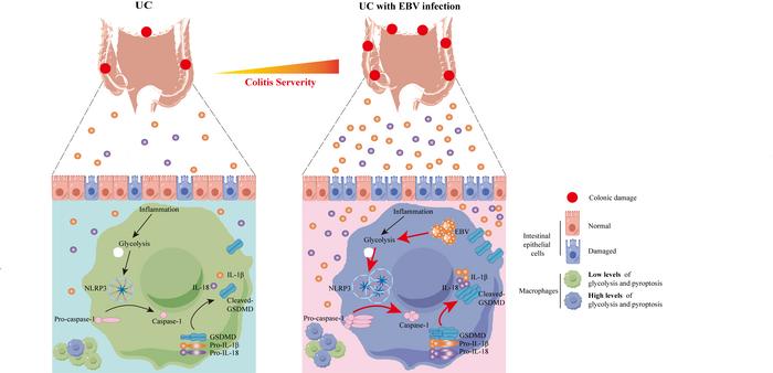 Graphical Abstract