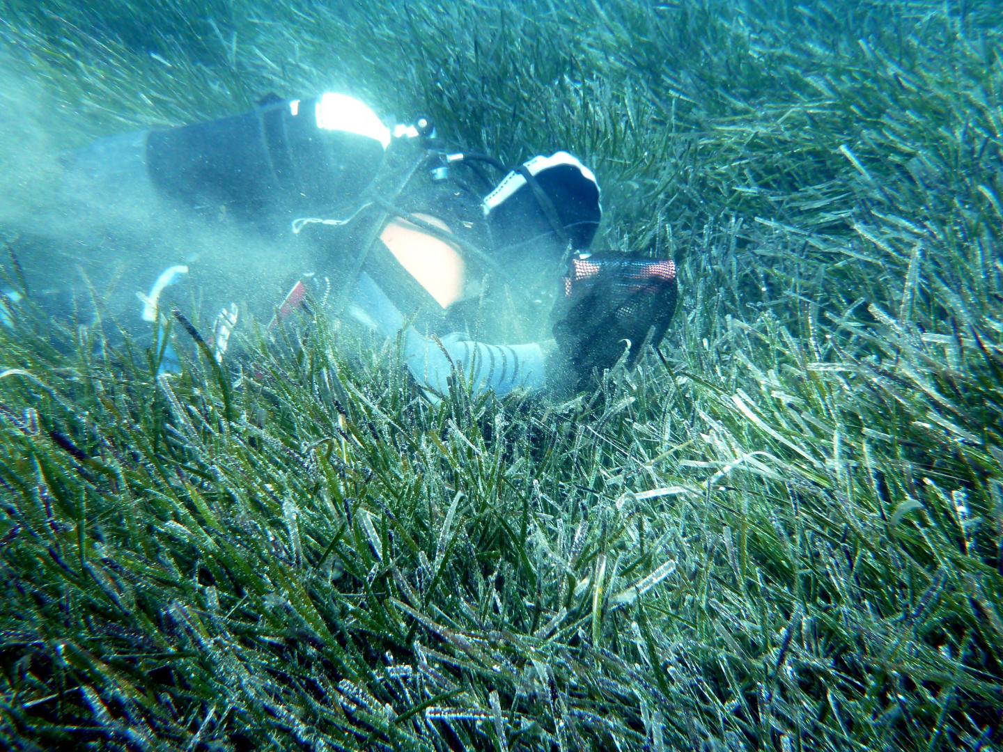 Sediment Sampling