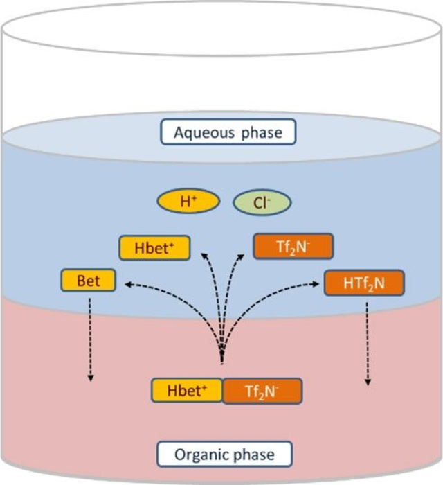 Studying the Mechanism of Metal Extraction with Ionic Liquids