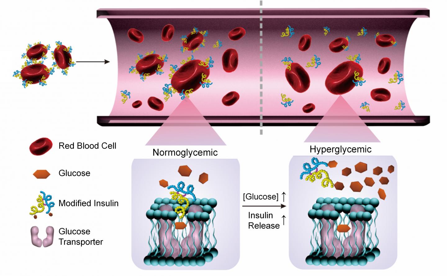 Smart Insulin Delivery System