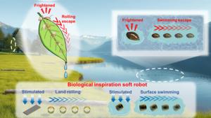 Bionic-Inspired Soft Robot: Simulating Ant Escape and Whirligig Beetle Motion