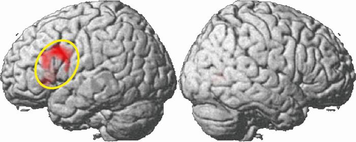 Manga reading on paper vs. digital devices: Prospective effects on core and supportive integration processes in the brain