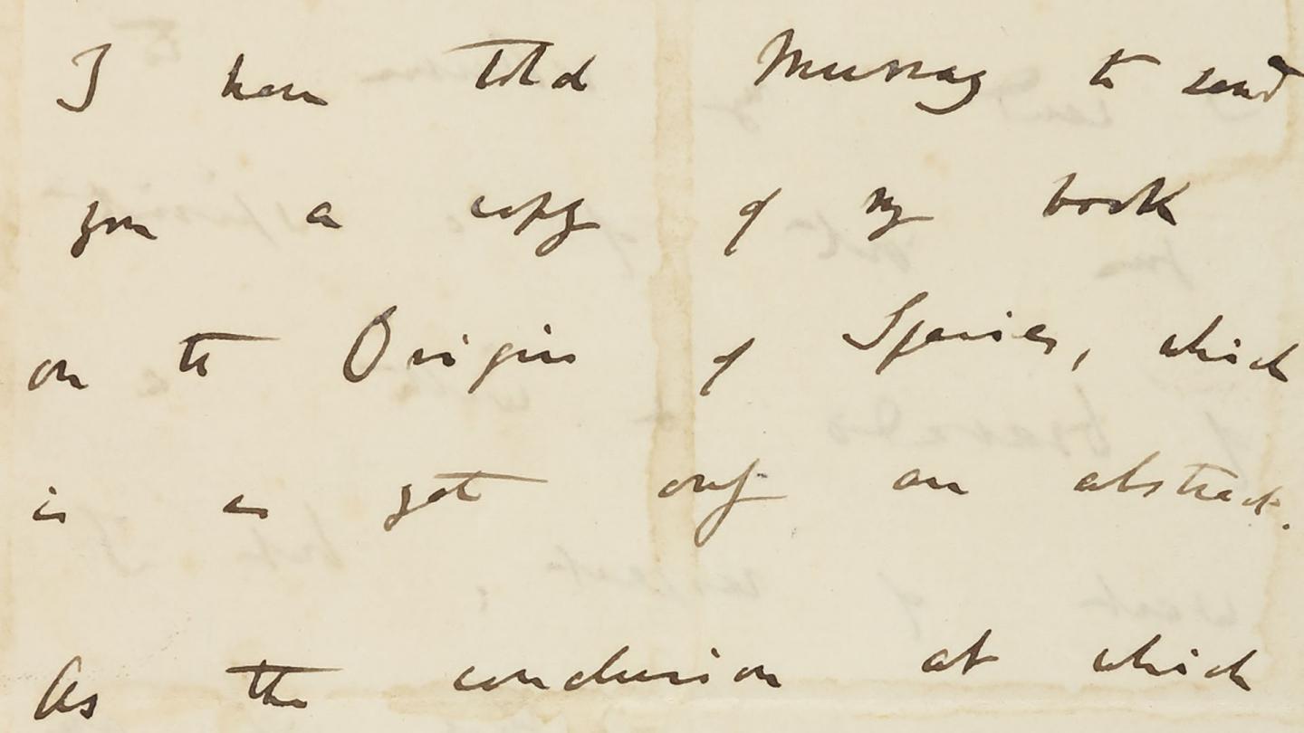 Letter