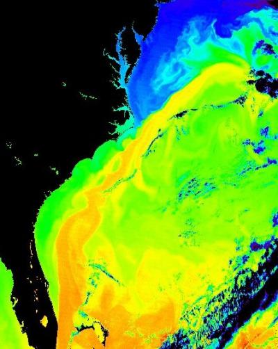 Gulf Stream