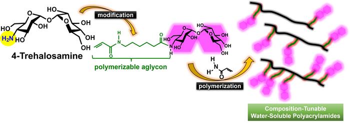 From 4-trehalosamine to composition-tunable water-soluble glycopolymers