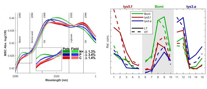 Barley spectra