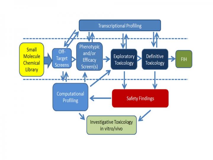 Representative Early Drug Development Paradigm for Small Molecules