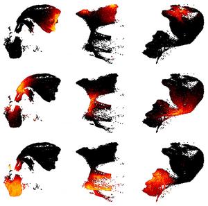 The Developing Neocortex