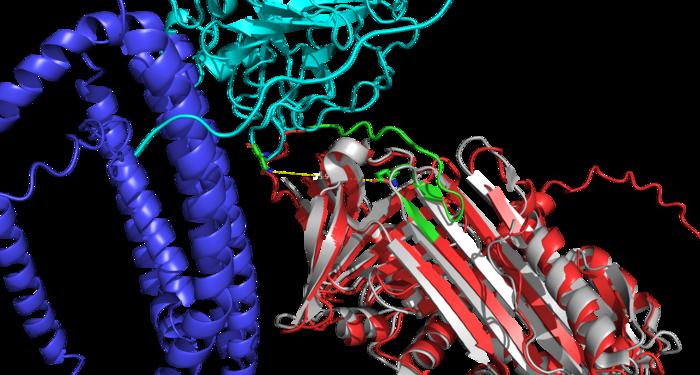 Scientists pinpoint protein shapes that track Alzheimer’s progression