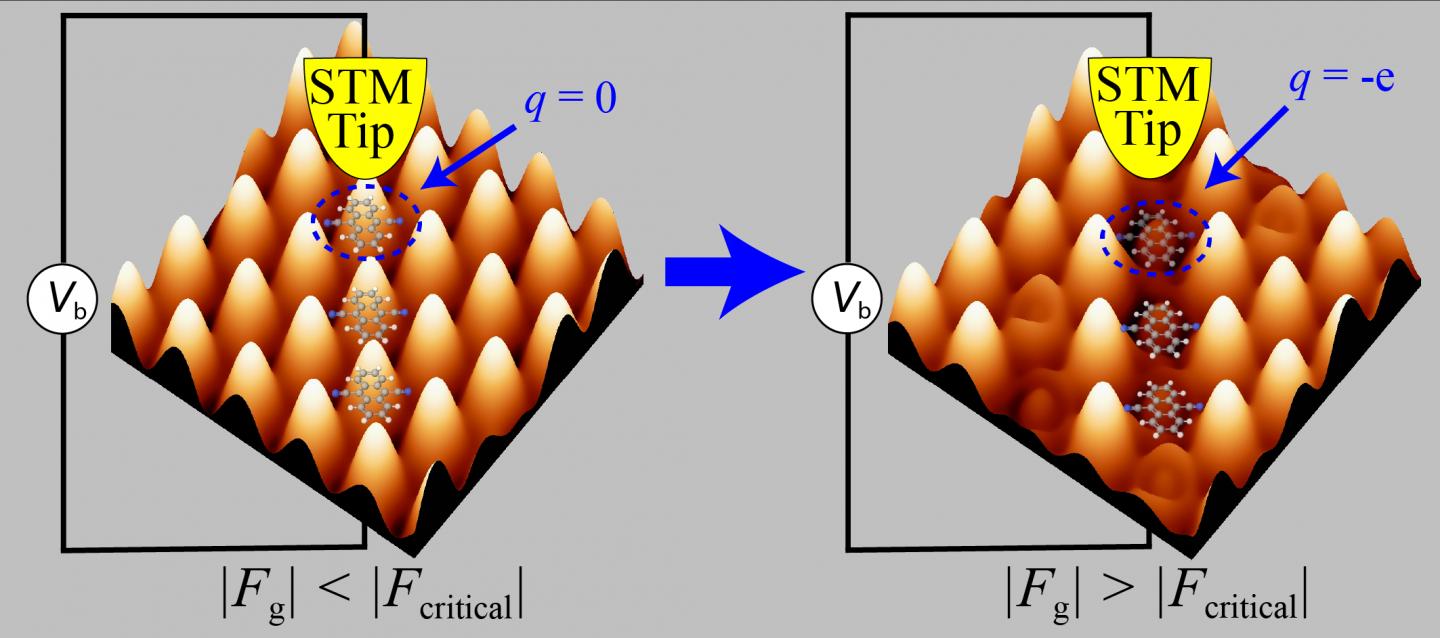 STM Image