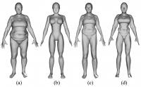 Figure 3. Example of shape transfer by applying the present method.
