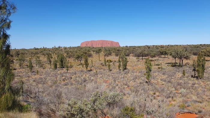 Uluru with dieback